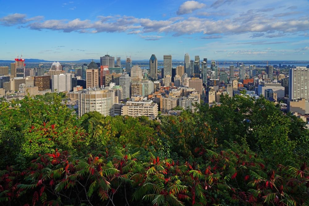 몬트리올 (EQRoy/Shutterstock)