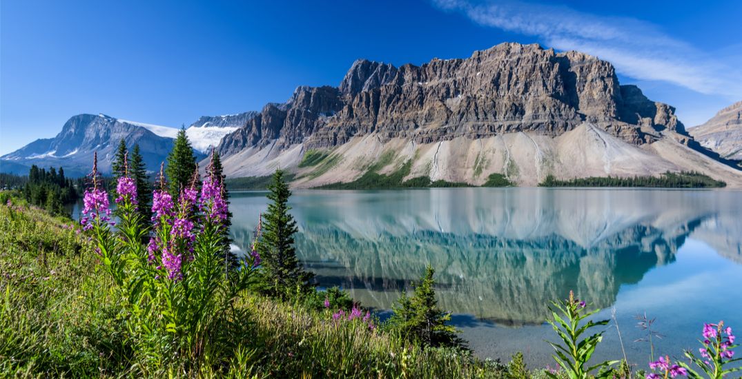 Bow Lake — Icefields Parkway