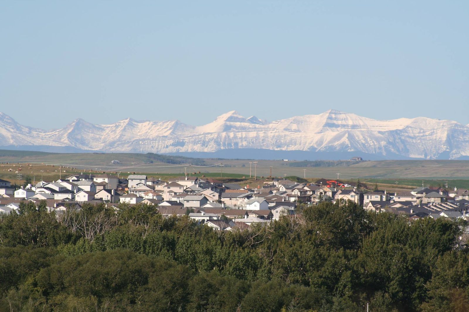 오코톡스(Okotoks)
