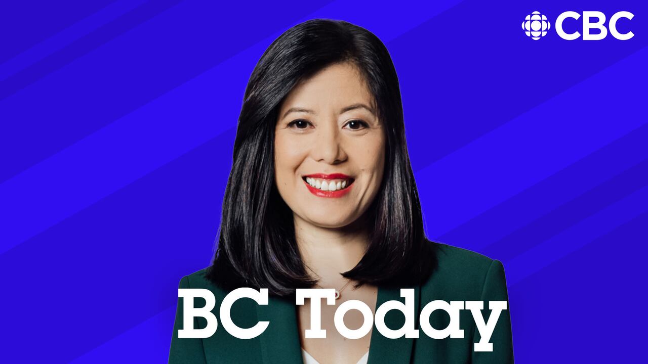 BC 보육 정책을 다룬 CBC 방송 화면 (출처: CBC News)